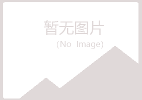 建阳白山能源有限公司